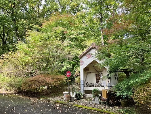 【紅葉速報!】森のガーデン&神社の最新状況について