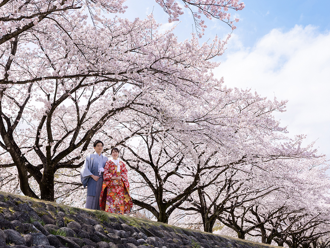 一足先に春の準備を♡ 桜ロケーションフォトご予約受付中!