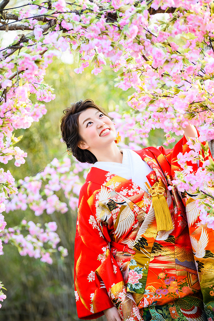 どの季節、ロケ地でも映える「色打掛」をご紹介!